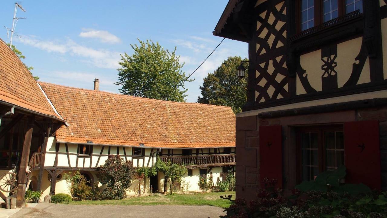 Le Gite Des Ecureuils Schalkendorf 外观 照片