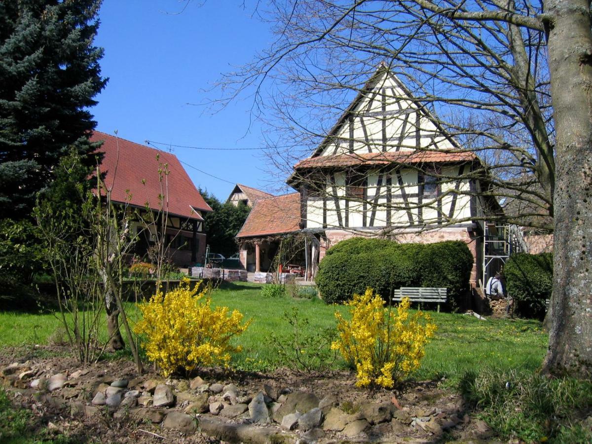 Le Gite Des Ecureuils Schalkendorf 外观 照片