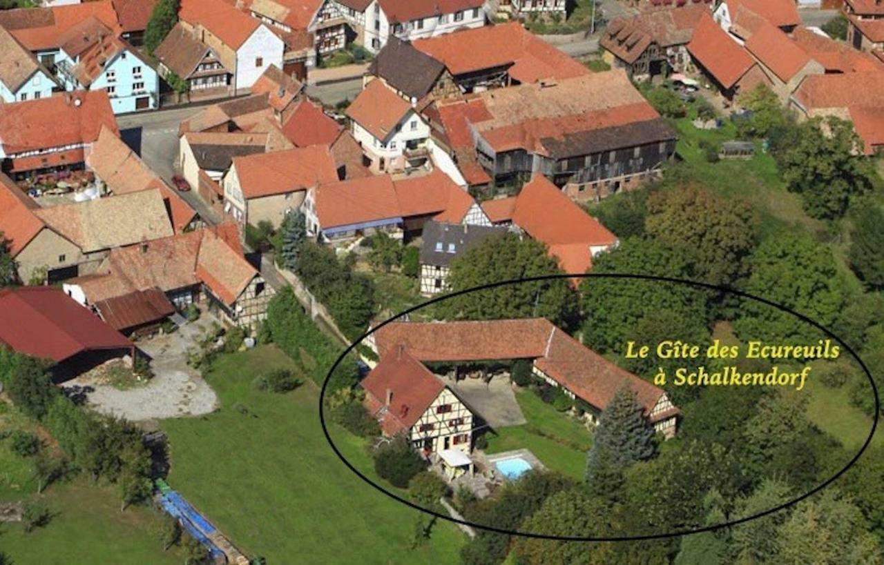 Le Gite Des Ecureuils Schalkendorf 外观 照片